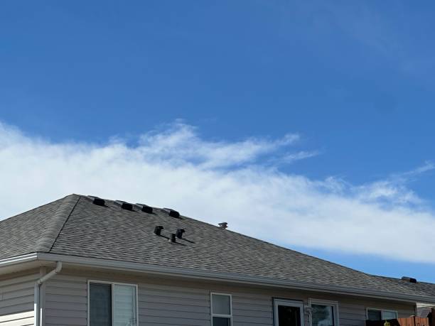 Best Gutter Installation and Repair  in Rochelle, GA